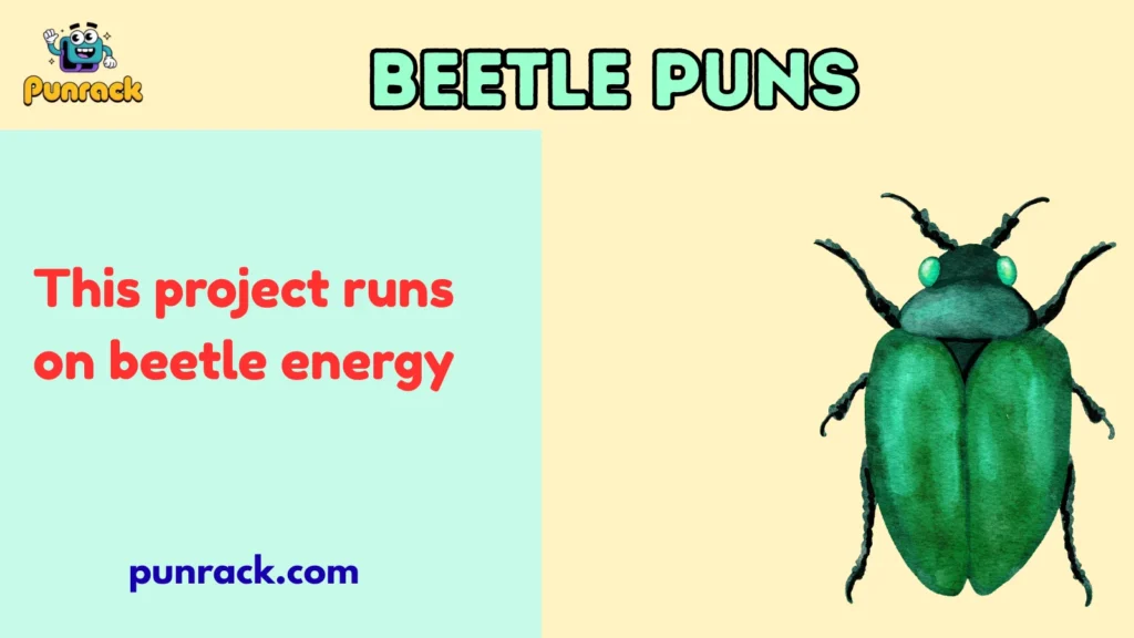 Beetle Puns