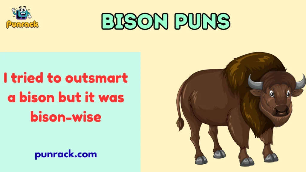 Bison puns
