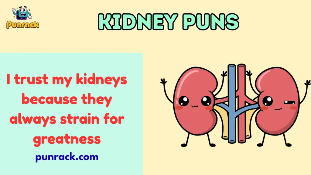 Kidney puns