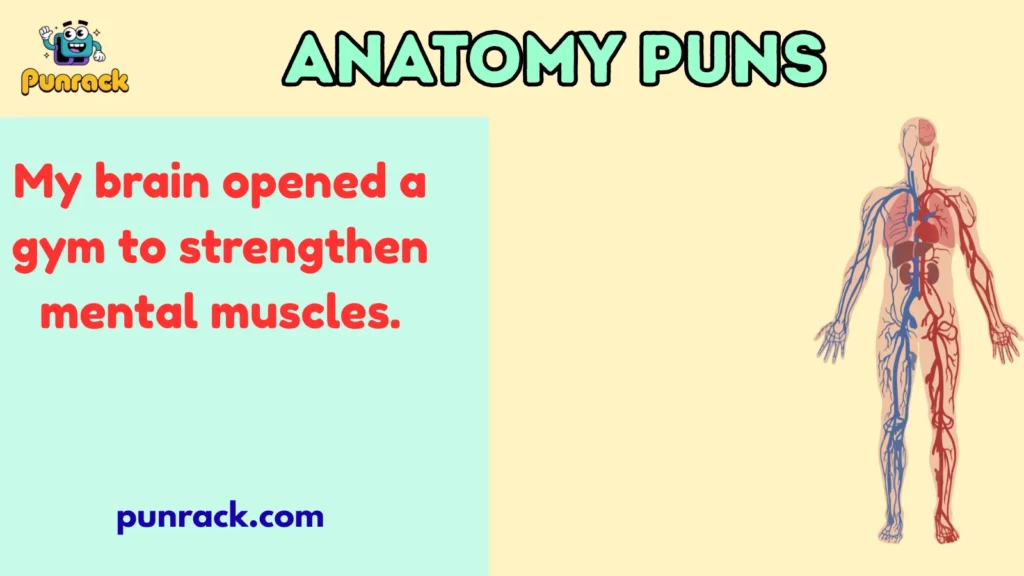 Anatomy Puns
