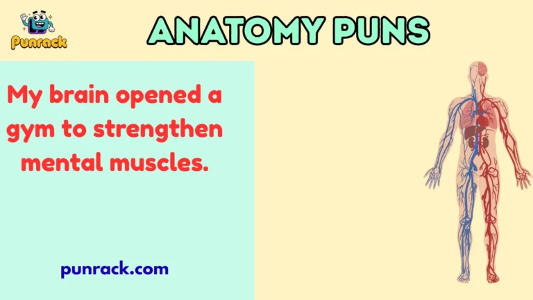 Anatomy Puns