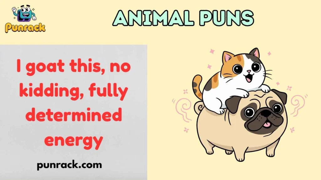Animal Puns