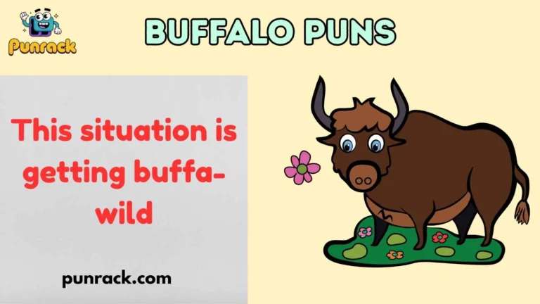 Buffalo Puns