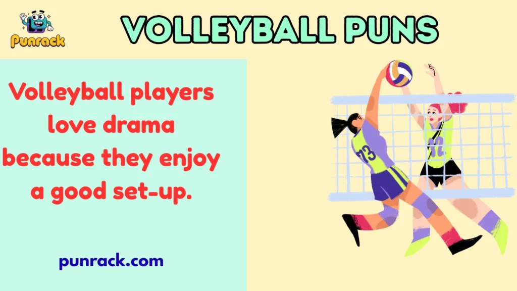 Volleyball Puns