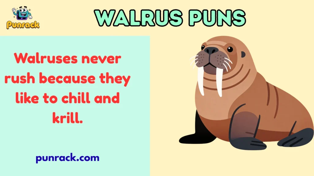 Walrus Puns